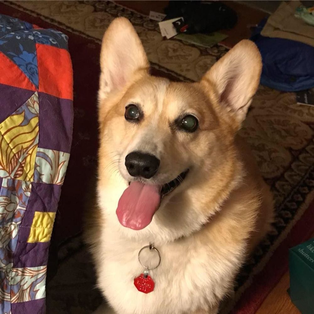 Meet your Posher, Robin